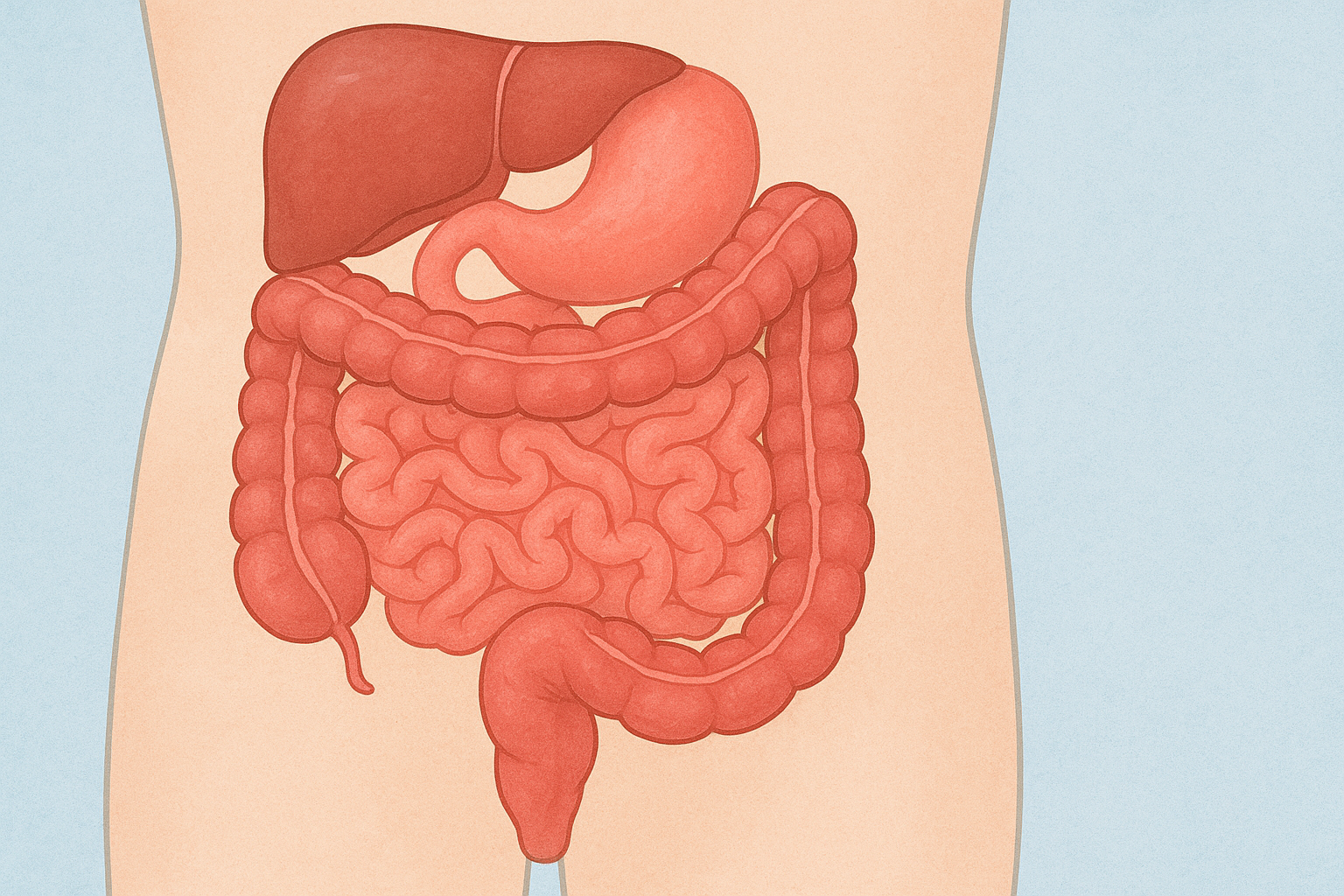 بيماري‌های التهابي روده (IBD): علائم، علل، تشخيص و درمان
